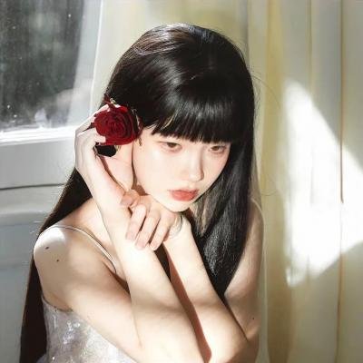 夜之蝶